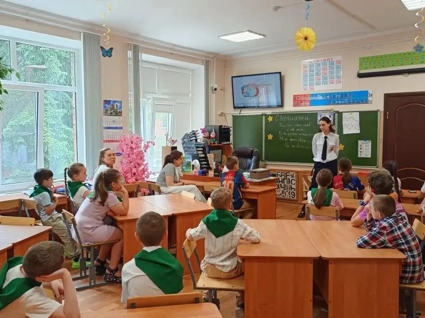 Мероприятия гимназии по БДД.