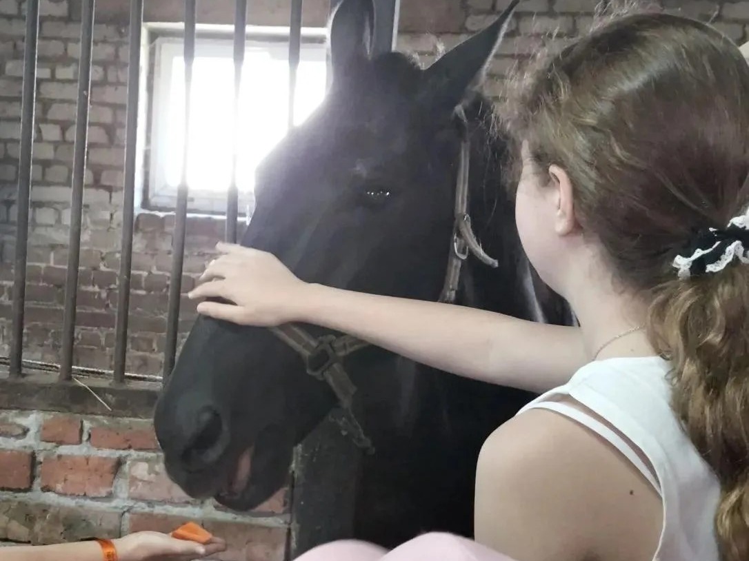 День седьмой. Навстречу приключениям!.